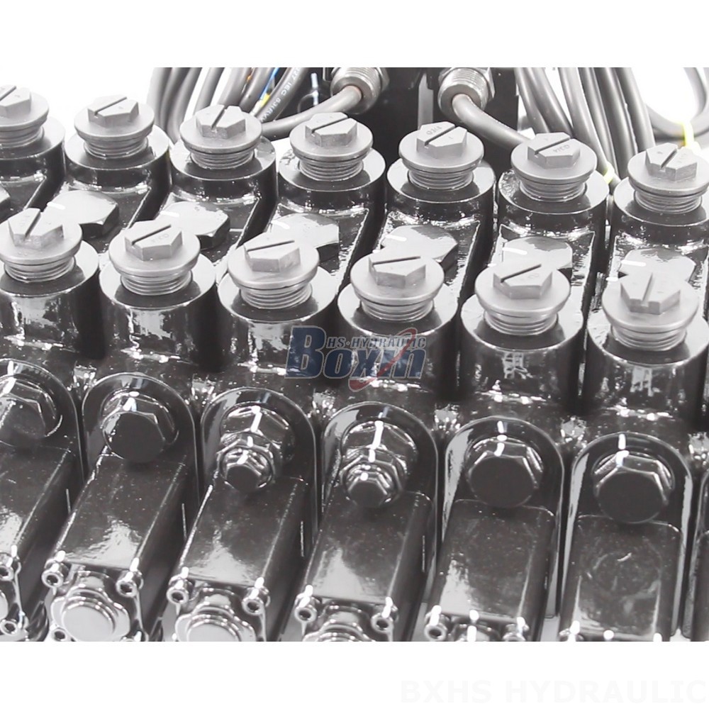 Explore Partnership Opportunities: Collaborate on DCV150-10-NPT Hydraulic Valve Distribution detail image